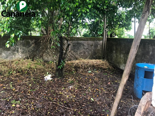 Oportunidade Disponível Para Venda Numa Das Mais Valorizadas Ruas Do Retiro Das Caravelas - Cananéia/sp - Ca00071 - 68439573