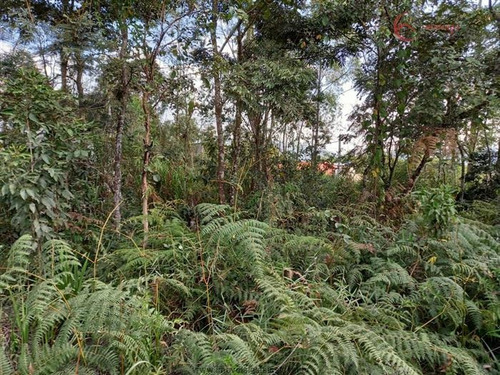 Imagem 4 de 8 de Terrenos Para Venda Em Mairiporã No Bairro Village Estoril - 1477115