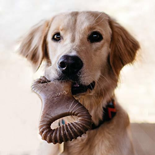 Juguete Mordible Para Perro Agarre Facil Sabor Pollo Talla S Color Multicolor