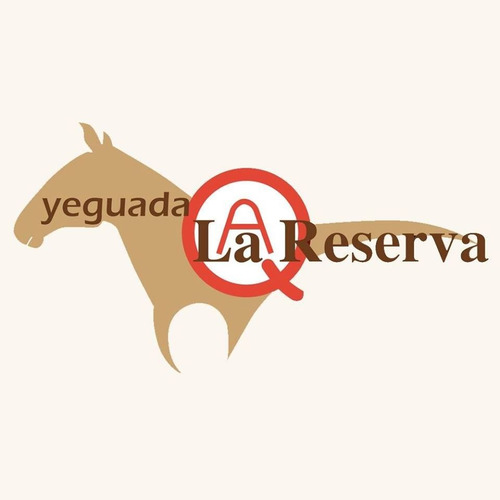 30 Pieza Colágeno Chico Yeguada La Reserva 100% Original