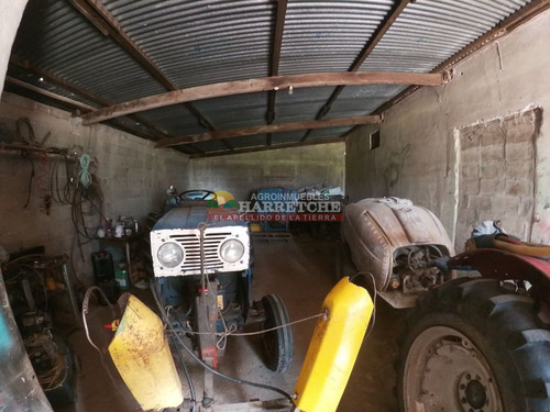 Imagen 10 de 16 de Campo, 7 Has, Cno Mendoza, Quinta En Producción Con Frente A Dos Caminos