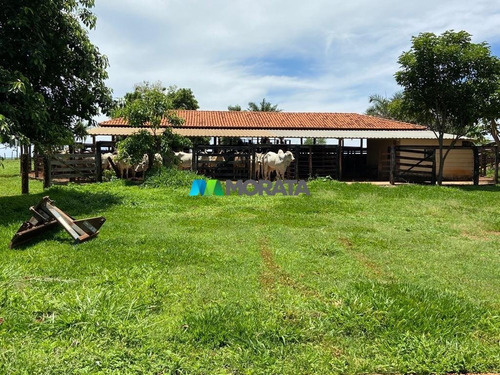 Imagem 8 de 15 de Fazenda - Zona Rural - Ref: 5332 - V-mta5332