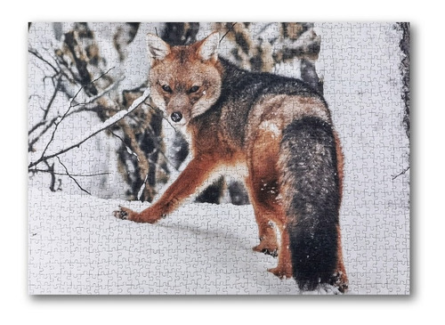 Imagen 2 de 4 de Puzzle 1.000 Piezas Animales: Zorro Fauna Chilena