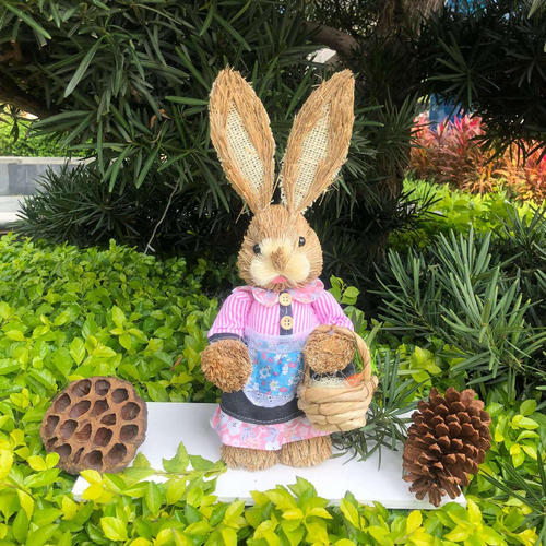 2 Figuras De Conejo De Pascua De Dibujos