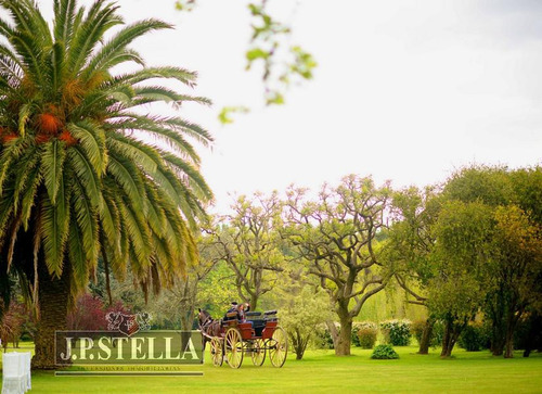 Excelente Estancia 15 Ha. C/ 2 Salones De Fiestas - Rafael Castillo
