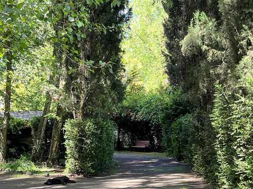 Parcela Con Casona A 20 Min Los Angeles Con Rio Bosques