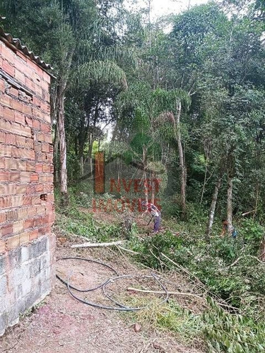 Imagem 3 de 9 de Chacara - Ref: 6564 - V-6564