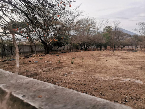Imagen 2 de 4 de Terreno - Plan De Ayala