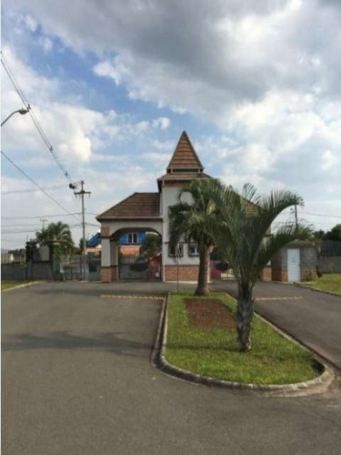 Imagem 4 de 30 de Excelente Terreno São Braz - Te-0448 - 3295582