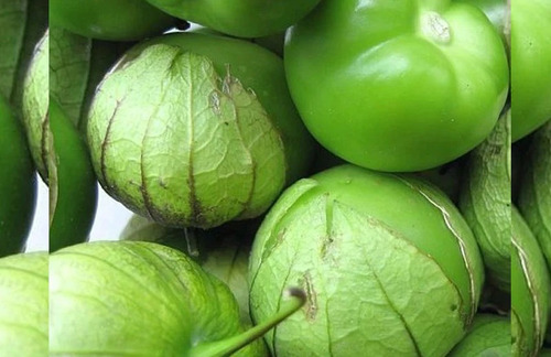 Semillas Orgánicas Tomate De Cascara Oaxaca, Tomatillo Verde