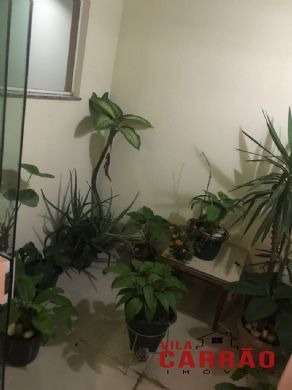 Imagem 5 de 15 de S2167 - Sobrado 3 Dorms. (3 Suítes), Penha - São Paulo/sp - S2167