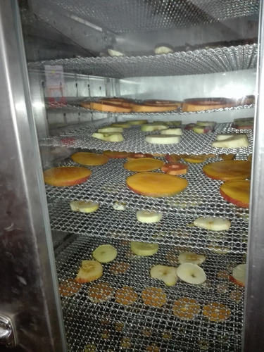Horno Deshidratador Industrial De Frutas En Acero Inoxidable