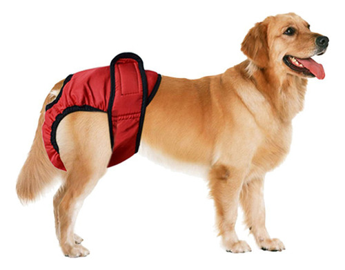 Pantalones Fisiológicos Para Perros Pañal Sanitarios Red_s