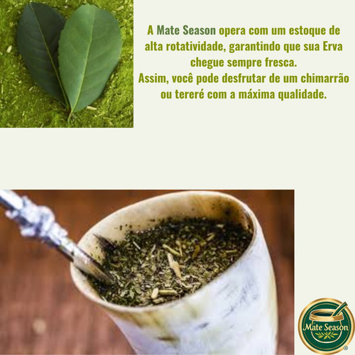 Kit 2 Erva Mate Tereré Barão Menta Ice Black 500g Sem Glúten