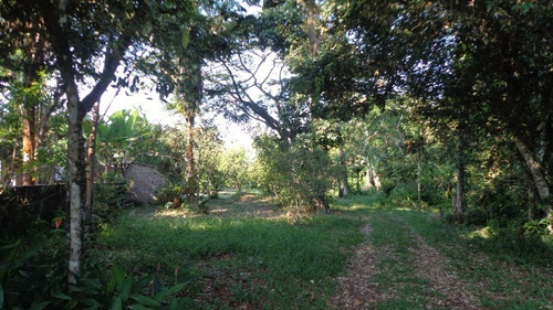 Chácara Com 2 Dormitórios Em Itanhaém/sp 2639-pc