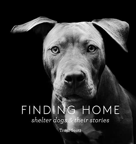 Book : Finding Home Shelter Dogs And Their Stories - Scott,