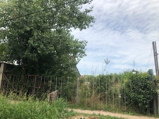 Imagen 4 de 4 de Lote A La Venta En Canning , A Metros De Ruta 58 Y 205.