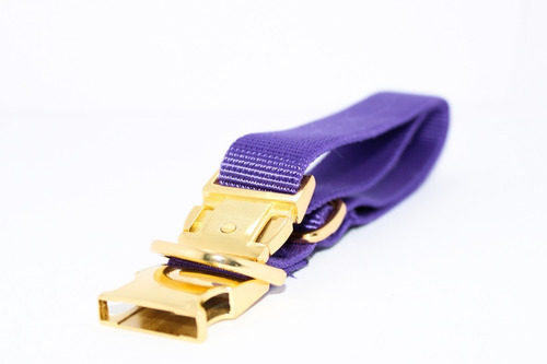 Collar Para Perro Con Herraje Metálico | Gold 1 | Grande