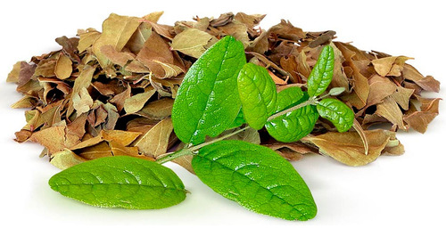 Boldo Natural Premiun Fina Seleccion Autralis 45g