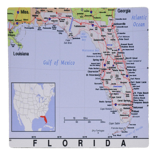 Impresión 3d Del Mapa De Ciudades Y Estados De Florida - Alf