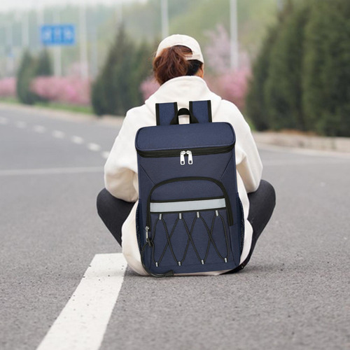Bolsa Más Fresca Aislada De La Comida De La Mochila Del