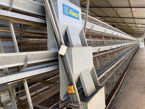 Imagen 9 de 14 de Venta Granja Automatizada Tacarigua