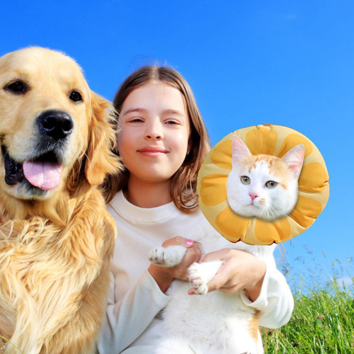 Cono De Gato Collar Isabelino A Prueba De Para Perros Y Gato