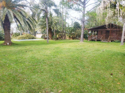Imagen 14 de 24 de Se Vende 1ha. Con 3 Casas Sobre Ruta 11 Km 450