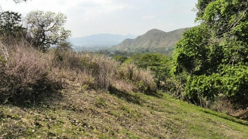 Imagen 1 de 6 de Terreno En Venta En Urb. Carialinda Naguanagua Cod: Fot-180