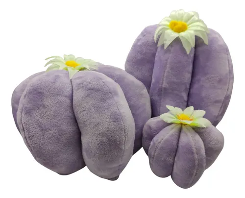 Cojines en forma de cactus hotsell