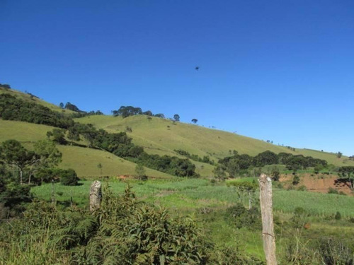 Imagem 6 de 10 de Fazenda Com 164 Alqueires Mineiros, Zona Rural, Quatis - Rj - 9981