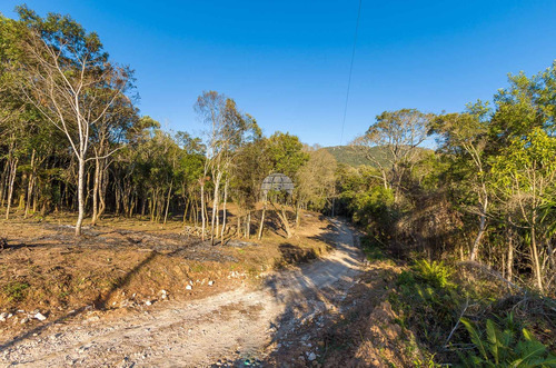 Imagem 5 de 30 de Chácara - Residencial - 936672
