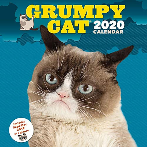 Calendario De Pared De Gato Gruñón 2020