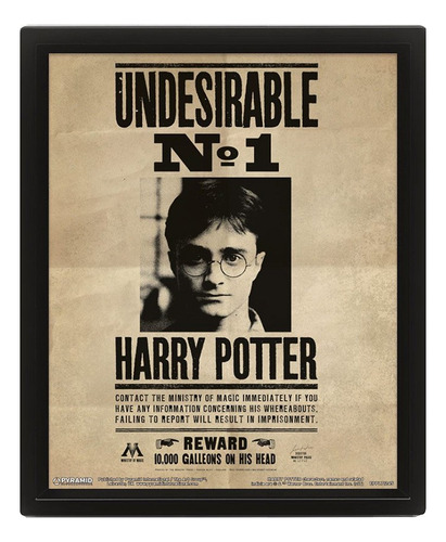 Harry Potter Póster Lenticular 3d - Mosca