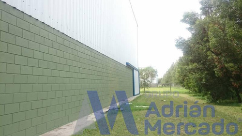 Nave A Estrenar En Parque Industrial Cañuelas 1800mts Cubiertos