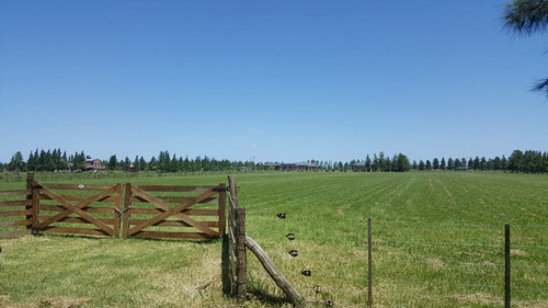 Lote En Venta En Las Malvinas