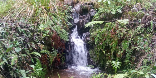 Parcela De Permacultura En Venta, Quilaco/biobio