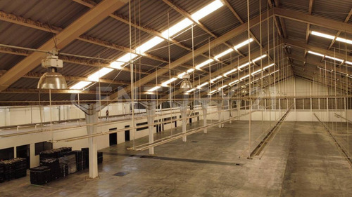 Bodegas En Venta 50,000 M2, Complejo Cerca Autopista Mex-pue, Tlaxcala