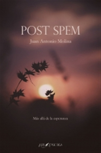 Post Spem - Molina Gomez, Juan Antonio