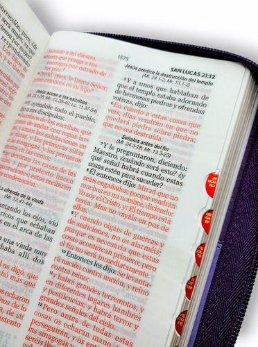 Imagen 4 de 9 de Biblia Juvenil Compacta Letra Grande 11 Pt Morado Duotono