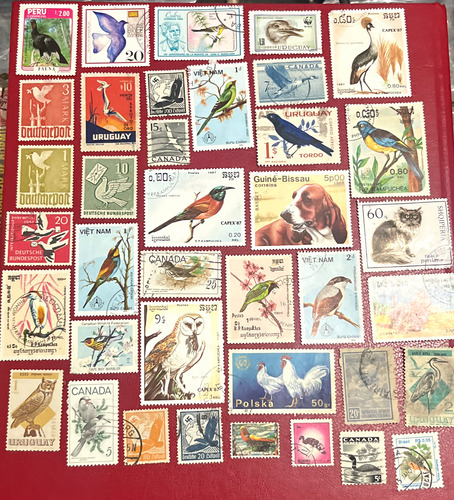 Sello Correo Animales Aves Perros Del Mundo 78 Estampillas, (Usado)