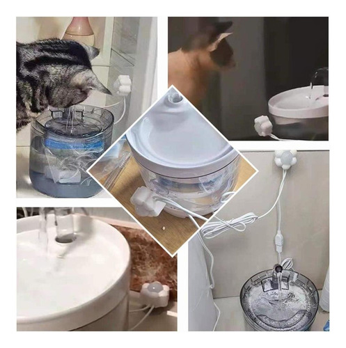 Dispensador De Agua Interruptor De Contenedor Automático