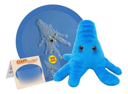 Giantmicrobes Amoeba - Aprende Sobre La Naturaleza Y La Bio.