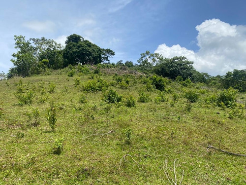 En Venta Terreno 191,000 Metros, Las Guazaras, Samana (caballos)