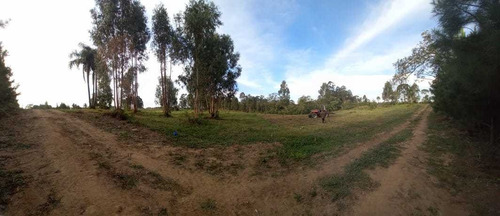 Imagem 3 de 12 de Chácara Em Eucaliptos, Fazenda Rio Grande/pr De 20000m² 1 Quartos À Venda Por R$ 180.000,00 - Ch1510288-s