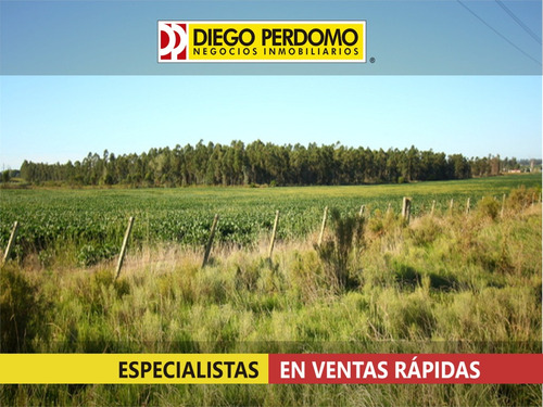 Chacra En Venta, 12 Hás, Localidad De Libertad