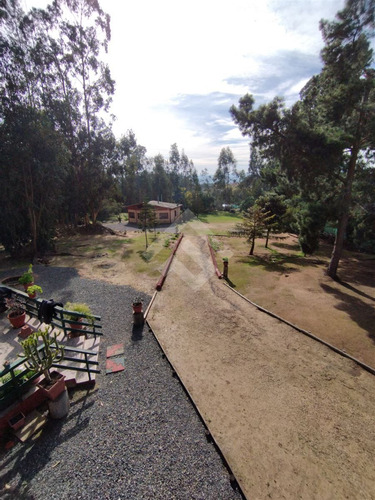 Casa En Venta De 4 Dorm. En Algarrobo