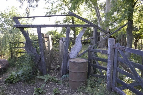 Imagen 14 de 30 de Se Vende 32 Hectáreas Agrícola - General Belgrano, Provincia De Buenos Aires