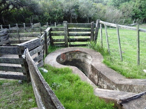 Campo En Venta En Uruguay, Lavalleja A Pocos Km De Minas- Ref: 22035