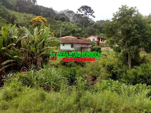 Casa Simples Em Virginia - 1276